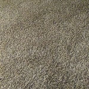 Meet your Posher, Anabel